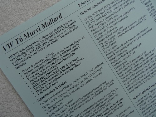 Murvi mallard - t6,